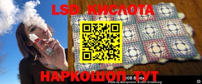 гидропоника Будённовск