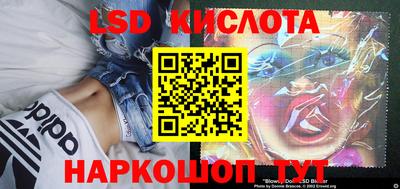 гидропоника Будённовск