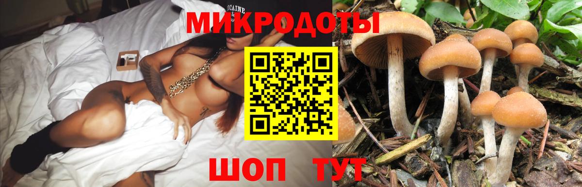Соликамск  Псилоцибиновые грибы Psilocybine cubensis  Вход с VPN  Псилоцибиновые грибы мицелий 